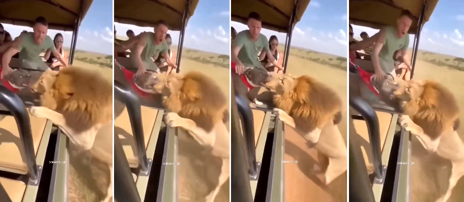 I don't know which video to trust: Truth caught in the vortex of AI