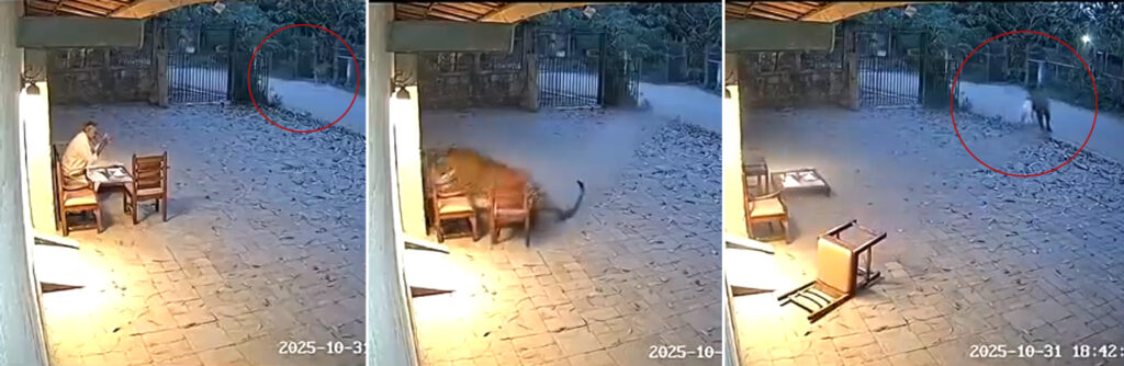 I don't know which video to trust: Truth caught in the vortex of AI