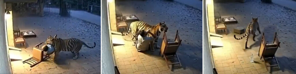 I don't know which video to trust: Truth caught in the vortex of AI