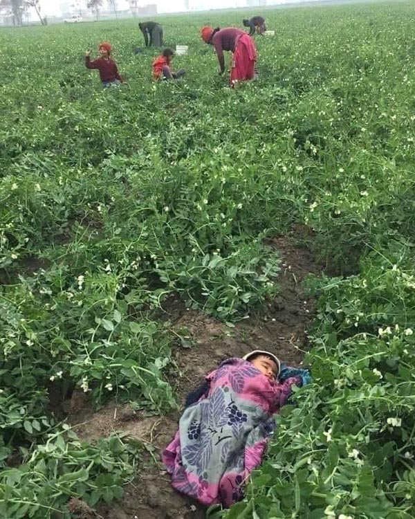 ऐ ज़िंदगी देख, मेरे हौसले तुझसे भी बड़े हैं