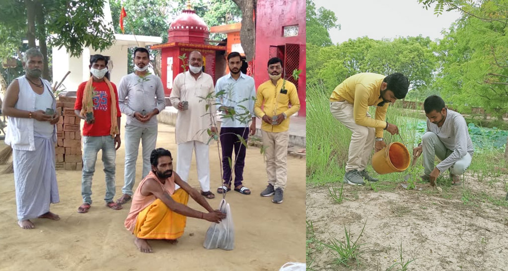 ऑक्सीजन की कमी सिर्फ वृक्ष ही कर सकते हैं पूरा