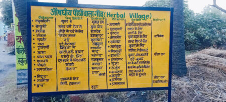 पर्यावरण दिवस पर एक गाँव को बना दिया औषधीय पौधों वाला गाँव