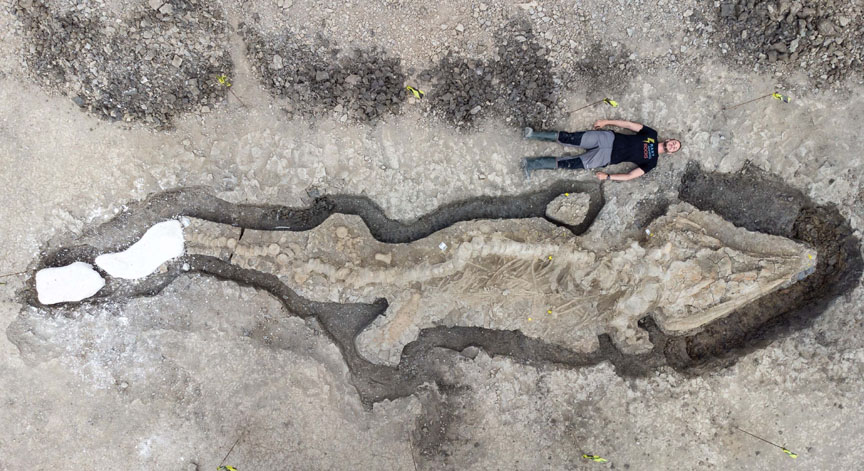 Fossil of 80-foot-long marine predator Ichthyotitan found in Britain: Top predator of the Triassic period revealed