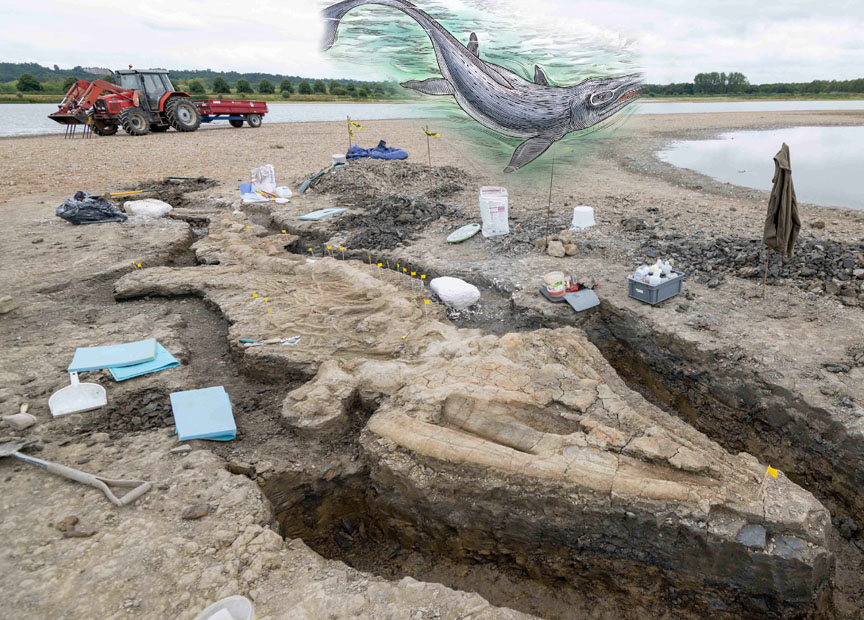 Fossil of 80-foot-long marine predator Ichthyotitan found in Britain