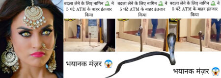 ATM के बाहर फन फैलाए नागिन ने मचाया हंगामा, अंदर फंसा शख्स, वायरल वीडियो से दहशत!