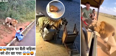 नहीं समझ में आता किस वीडियो पर भरोसा करें: AI के भंवर में फंसी सच्चाई Fake AI Video Clip