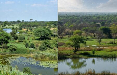 An AR-VR dome will soon be installed at the Shaheed Chandrashekhar Azad Bird Sanctuary in Unnao