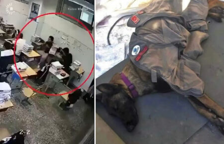 जापान में 6.7 तीव्रता का भूकंप, सुनामी चेतावनी जारी; भारत के अंडमान में भी 5.4 की तीव्रता से झटके A 6.7 magnitude earthquake struck Japan, and a tsunami warning was issued. A 5.4 magnitude tremor also struck India's Andaman Islands