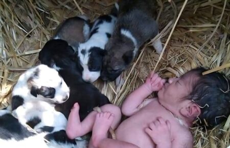 The man was embarrassed, the speechless mother took the child in her lap.