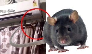 Preparations for a ritual were made out of fear, but CCTV footage revealed the real secret!