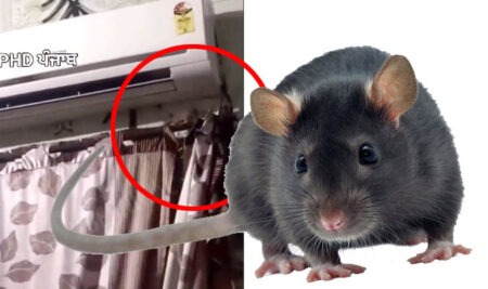 Preparations for a ritual were made out of fear, but CCTV footage revealed the real secret!