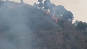 Flames return to Uttarakhand's forests: The same story every year. Devastation... Is this the destiny of the mountains?