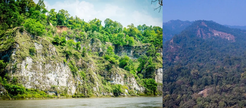 Nature's unparalleled treasure trove in the Govardhana Forest Range of the Valmiki Tiger Reserve.