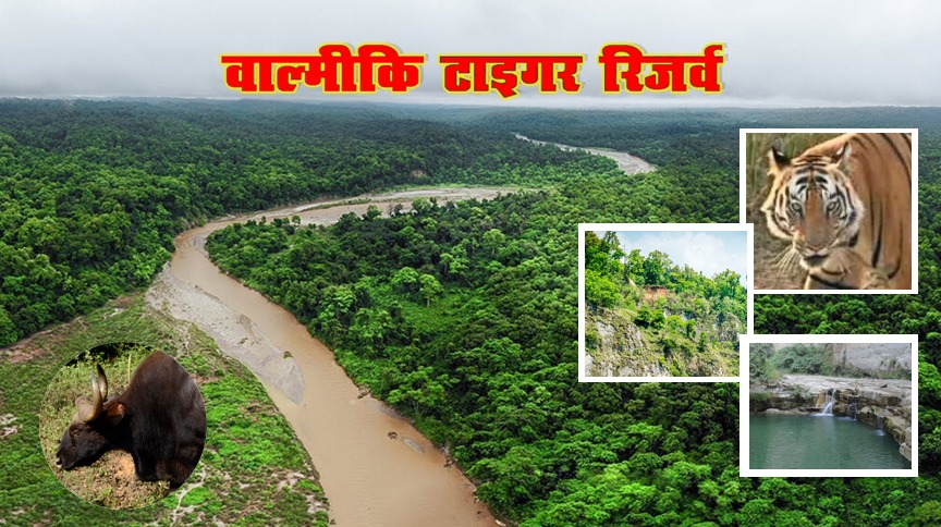Nature's unparalleled treasure trove in the Govardhana Forest Range of the Valmiki Tiger Reserve.