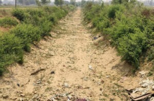 Water disappears in Saryu Canal Section 4! Animals are suffering from thirst.