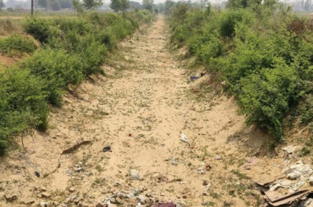 Water disappears in Saryu Canal Section 4! Animals are suffering from thirst.