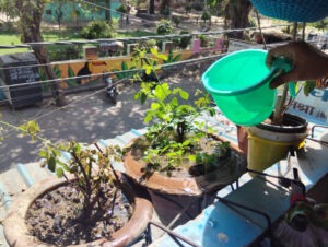 Agricultural Cycle Disrupted by Extreme Heat: Record Temperatures in April; India Becomes the Global Heat Capital