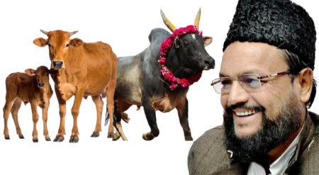 Declare the Cow the National Animal, Grant the Bull Industrial Status! Arshad Khan's Sensational Letter to PM Modi