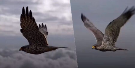 A Flight of Courage