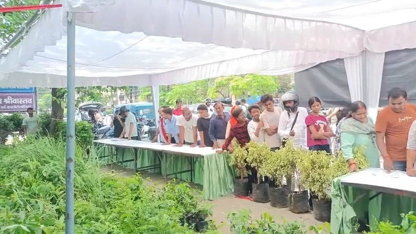 Free distribution of over one lakh saplings on Environment Day!