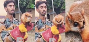 रामनगर में 12 साल बाद दिखी ‘उड़ने वाली गिलहरी’ 'Flying squirrel' spotted in Ramnagar after 12 years.