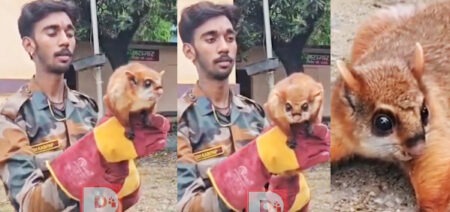 रामनगर में 12 साल बाद दिखी ‘उड़ने वाली गिलहरी’ 'Flying squirrel' spotted in Ramnagar after 12 years.